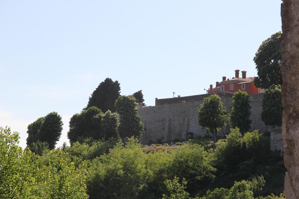 Provvidenza Villa Motovun Room photo